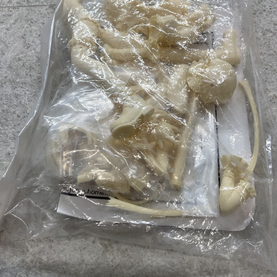 【楽天カード分割】 未開封 ワンフェス コゲどんぼ×宮川武 どきどき！たまタン その他