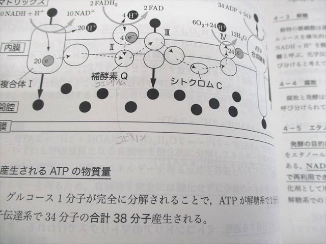 鉄緑会 高3 生物発展講座 テキスト/テスト24回分付 2019 028M0D 鉄緑会 高3 生物発展講座 テキスト/テスト24回分付 2019 028M0D