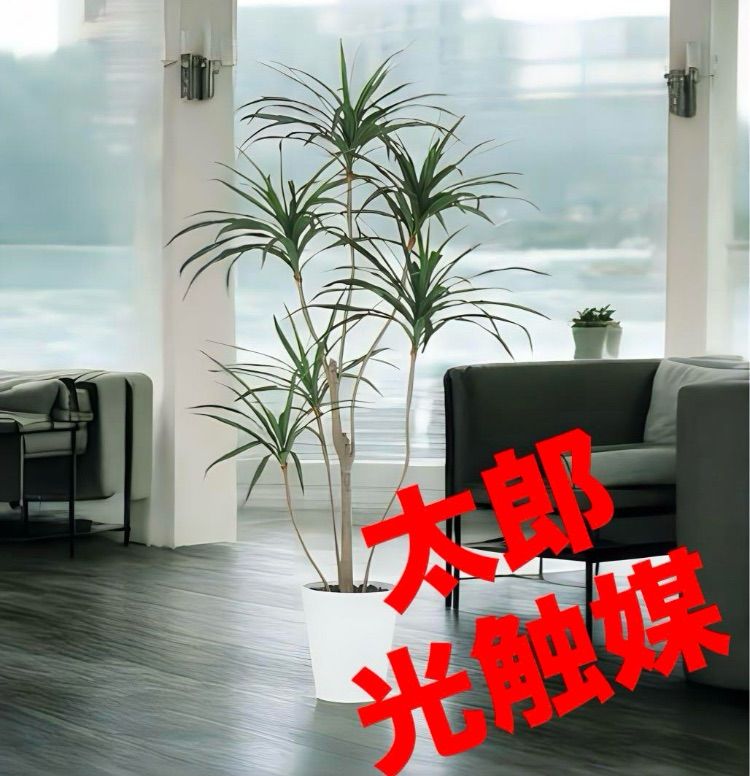 光触媒 人工観葉植物 ウォールグリーン フェイクグリーン フィカス