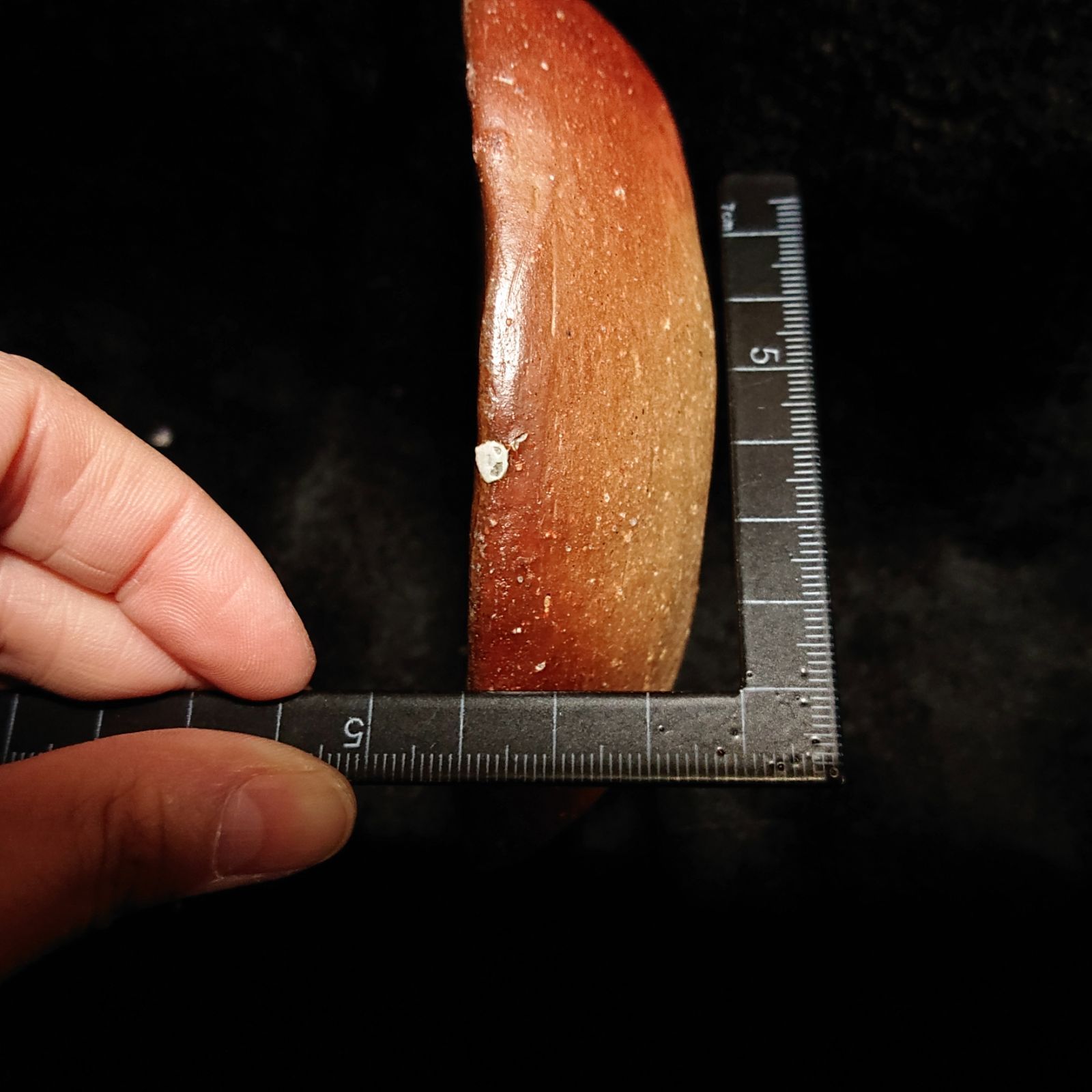 皿【2355】…備前焼 - メルカリ 