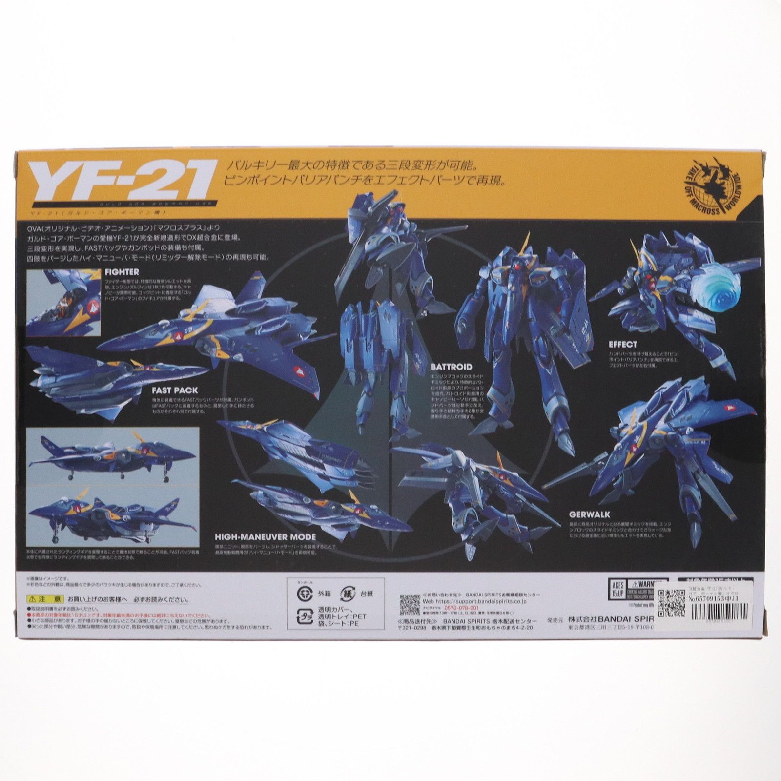 DX超合金 YF-21(ガルド・ゴア・ボーマン機) マクロスプラス 完成