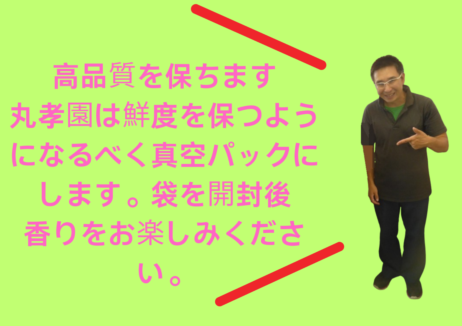 お歳暮 全国 送料無料 健康 新茶 熟成 くまもと白折入荷しました 100g　激安茶