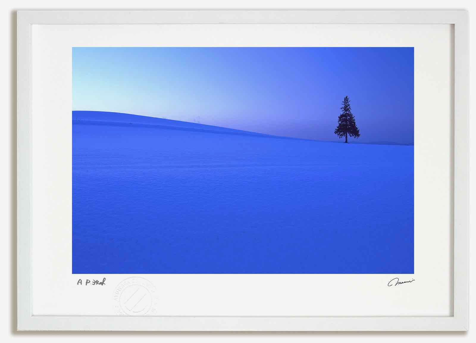 アートフォト 絵画 残照の ツリーの木1 高橋真澄|インテリア 額入り 額装込 風景画 油絵 ポスター アート アートパネル リビング 玄関 プレゼント モダン アートフレーム 飾る Mサイズ おしゃれ 壁掛け 絵