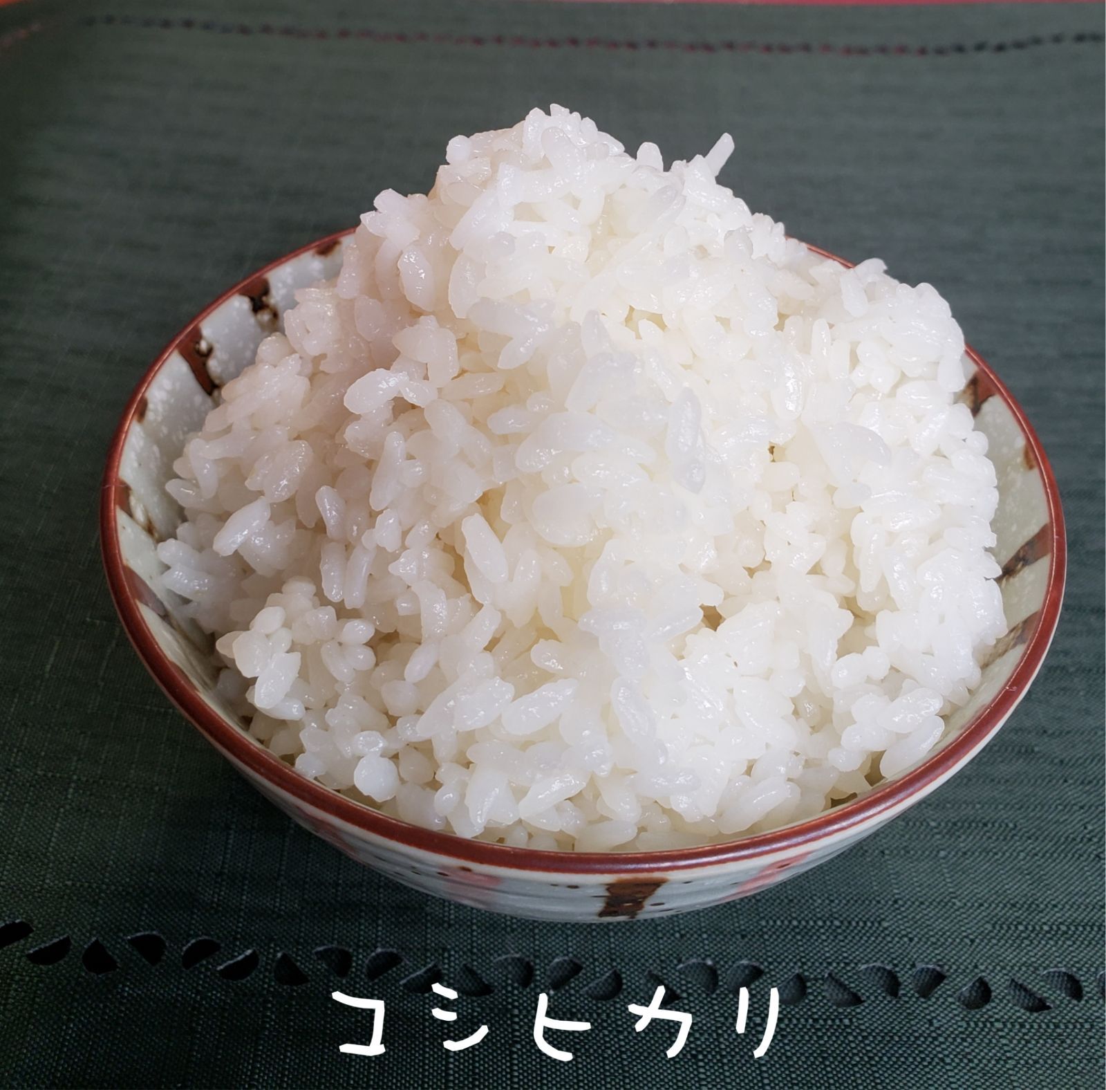 茨城令和元年産新米コシヒカリ精米済白米24㎏ - 米/穀物
