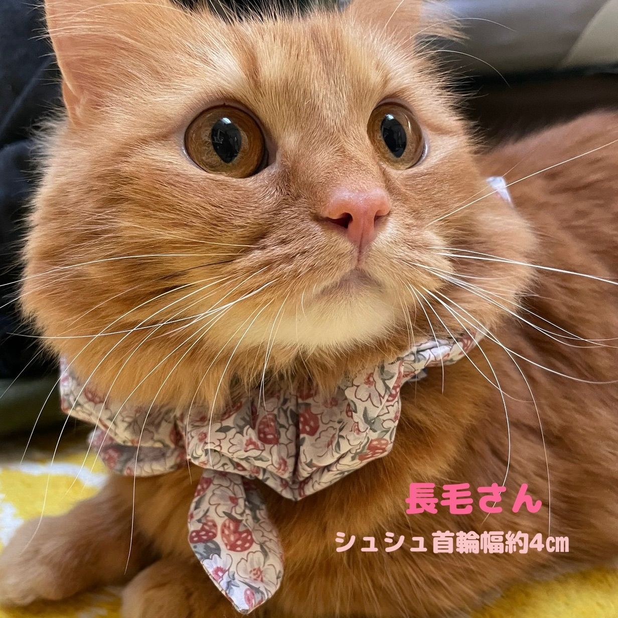 リバティいちごシュシュ首輪】猫首輪 ペット首輪 シュシュ首輪