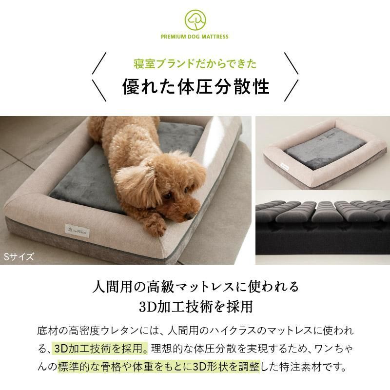 シニア