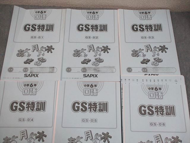 SAPIX サピックス 小6 国語 GS特訓 GS-01～06 2024年度版 計6冊