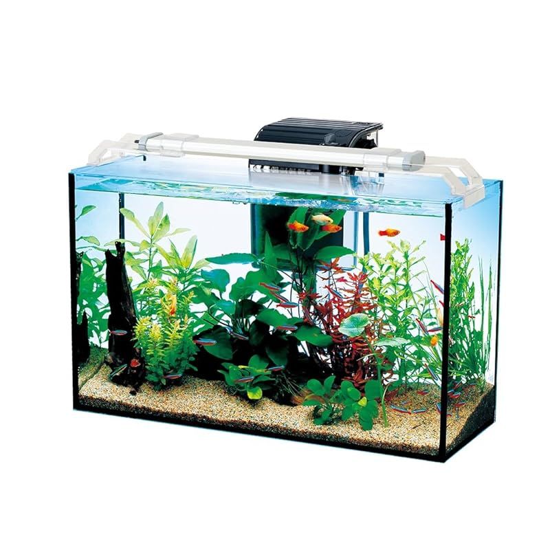 Tetra テトラ オールグラスアクアリウム420 熱帯魚セット 水槽 アクアリウム 熱帯魚 メダカ 金魚