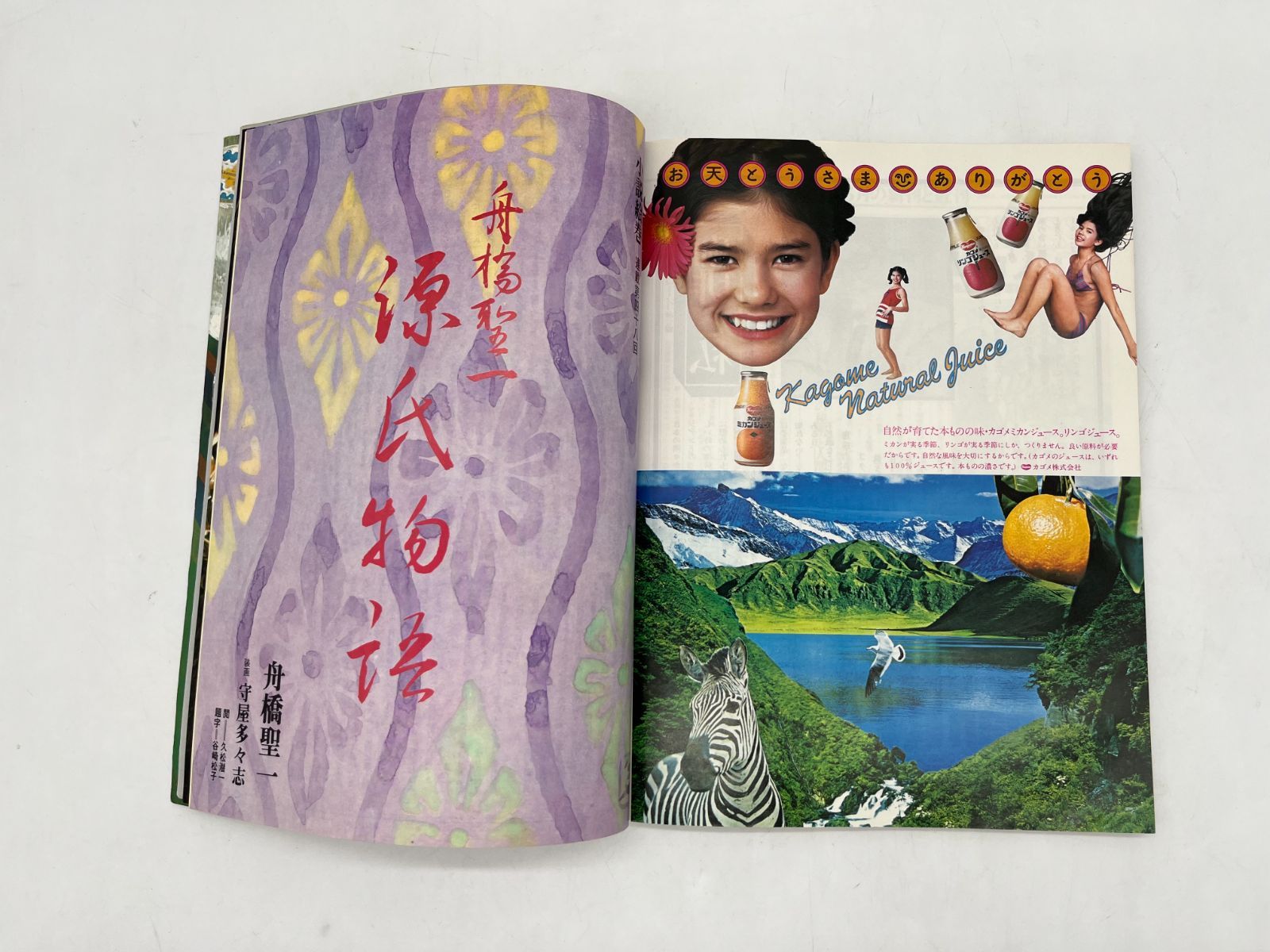 ☆　レトロ雑誌　平凡社　太陽　祇園　特集　レア　☆ 2025年最新】Yahoo!オークション -雑誌 太陽 平凡社(本、雑誌)の