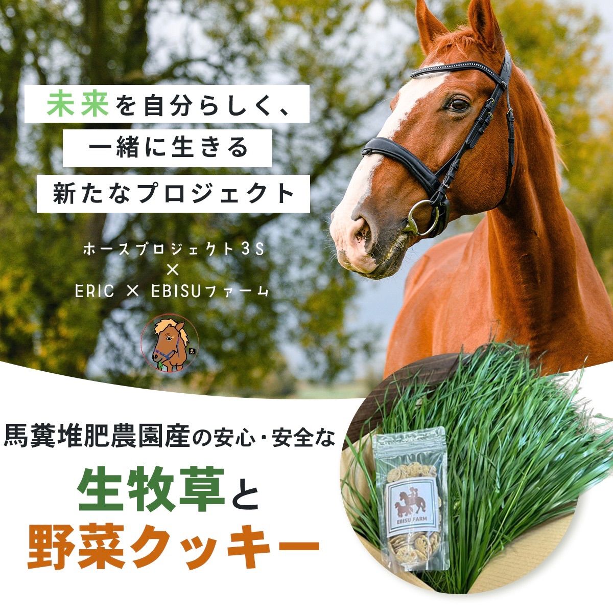 うさぎ