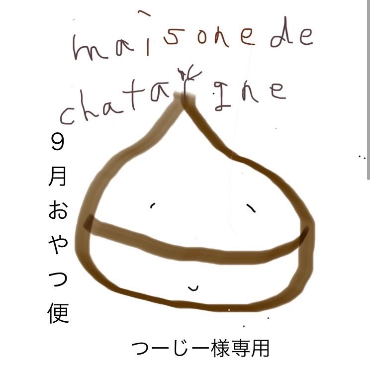 つーじー様専用 おやつ便 シフォンケーキサンド チーズケーキ テリーヌ