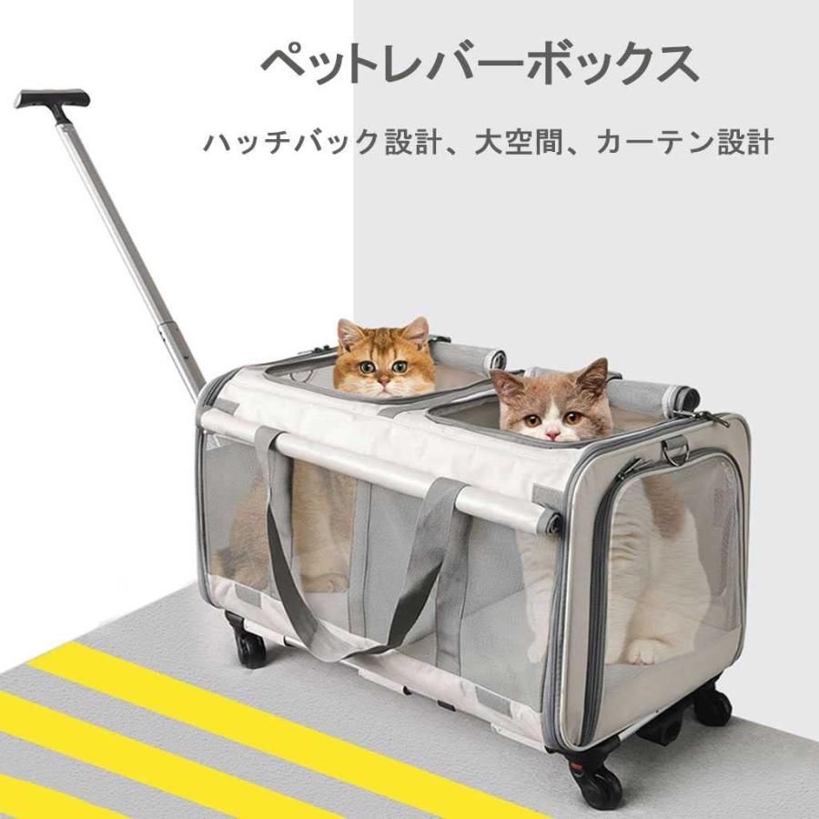 軽量で持ち運びが簡単な車|旅行