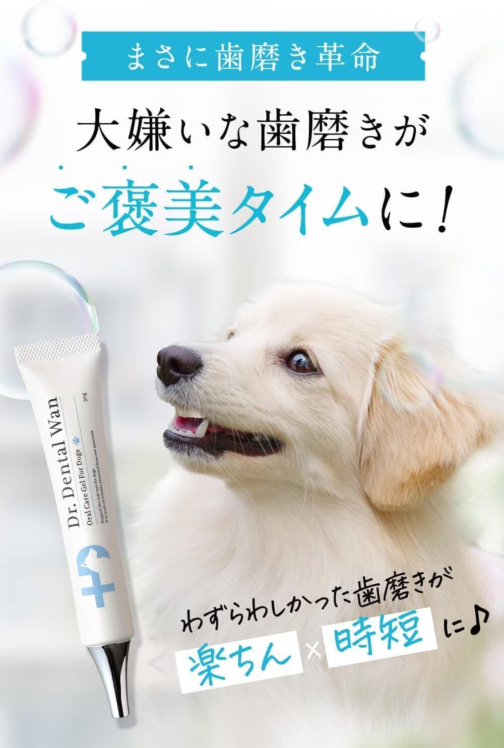 犬用