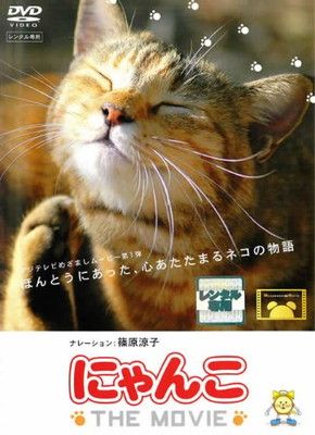 にゃんこ THE MOVIE [DVD] - メルカリ