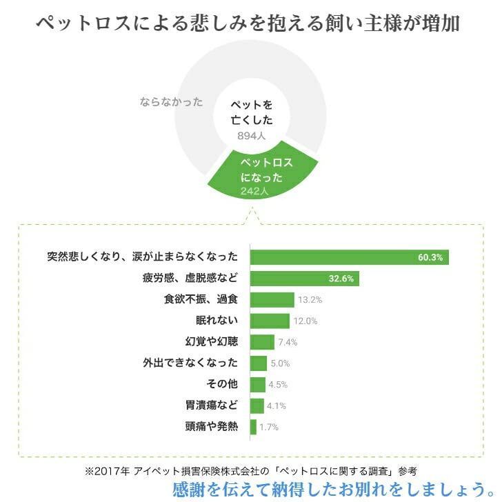 在庫セール】ペット用棺 段ボール製 ペット棺 ピンク ペット棺桶 犬用