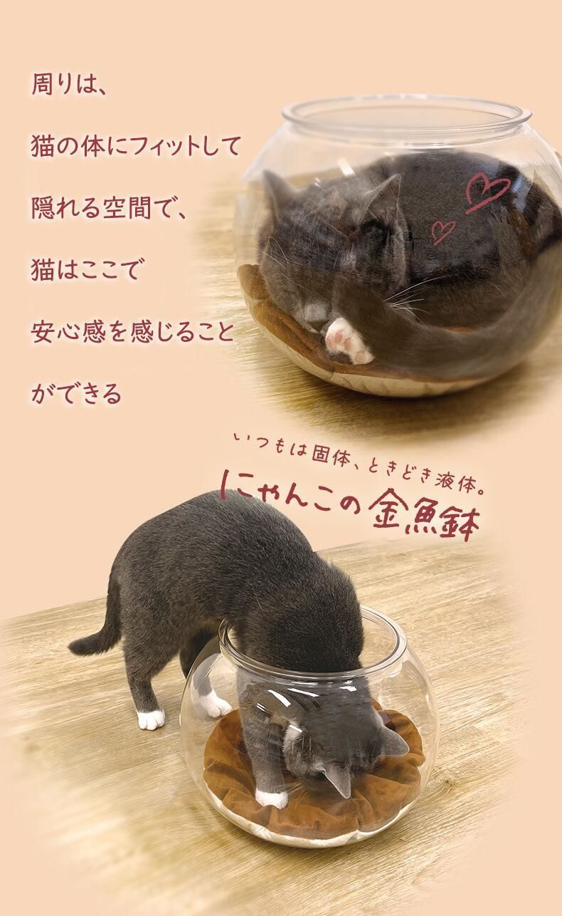 新作 にゃんこの金魚鉢 猫 春夏 ペット用 猫小屋 休憩 ペット