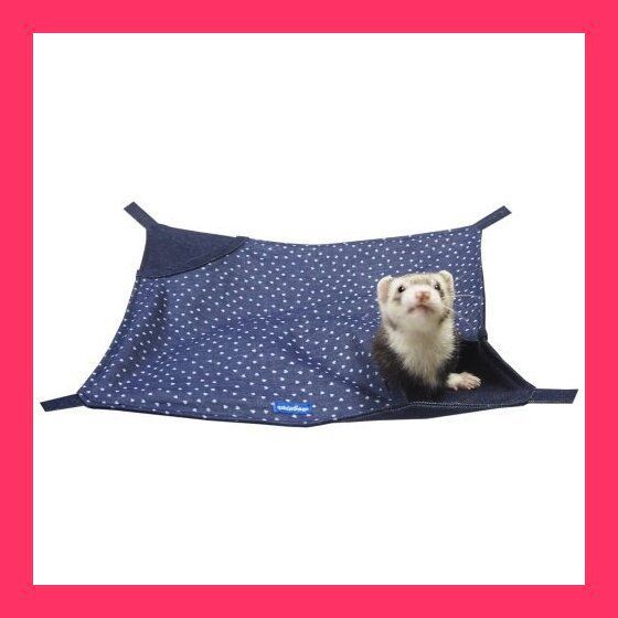 ARS10】カスミのドククラゲ ハナダシティジム カスミ PSA10