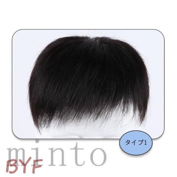 ウィッグ メンズ
