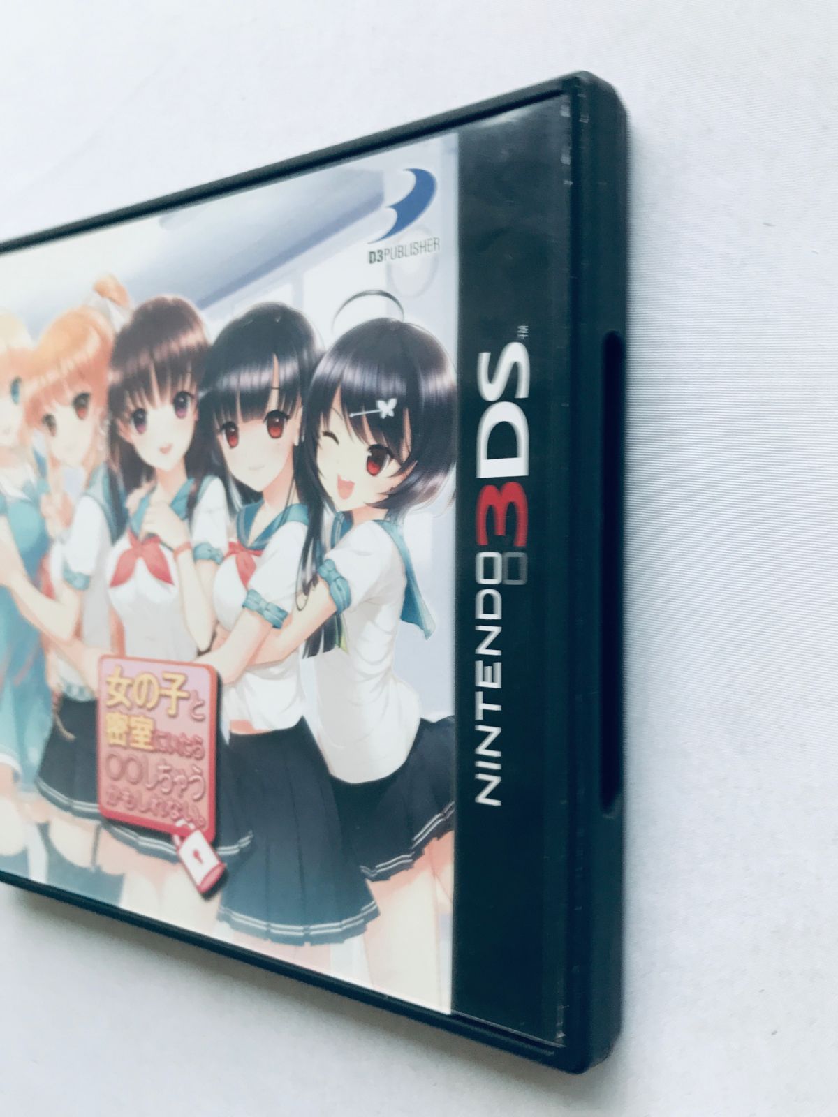 女の子と密室にいたら○○しちゃうかもしれない チラシ付 Onna no Ko