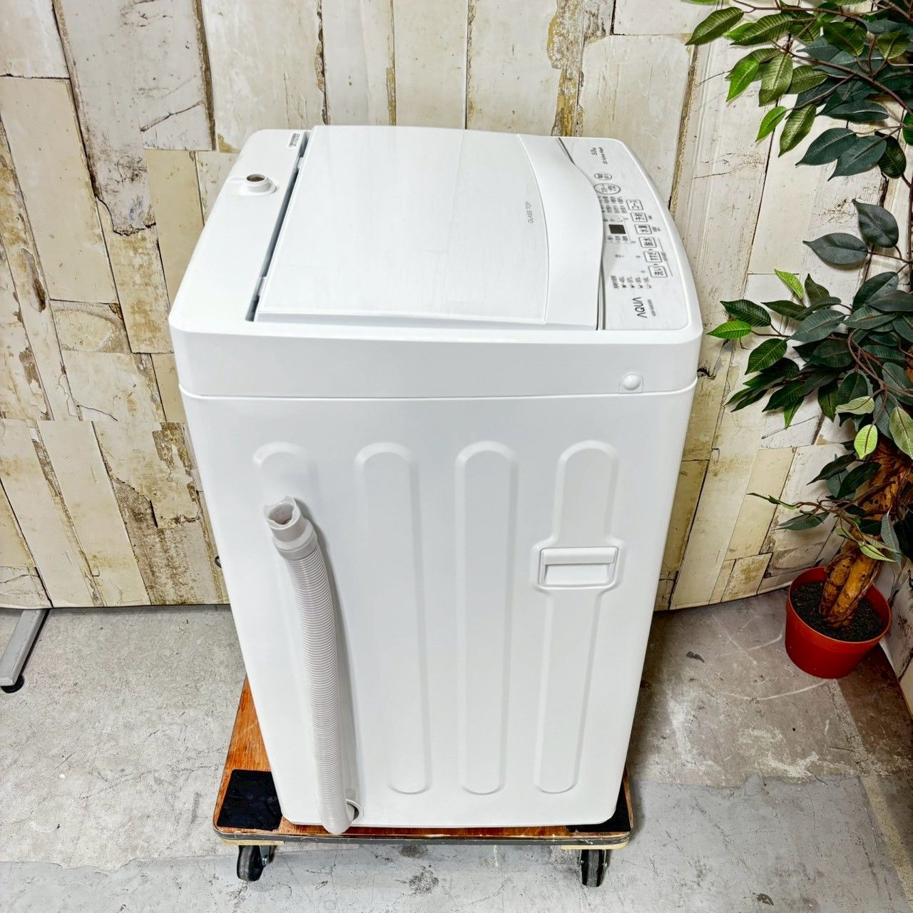 2025年製 AQUA アクア AQW-S50E3 洗濯機 5.0kg WWW_KANDAIZUMI_COM