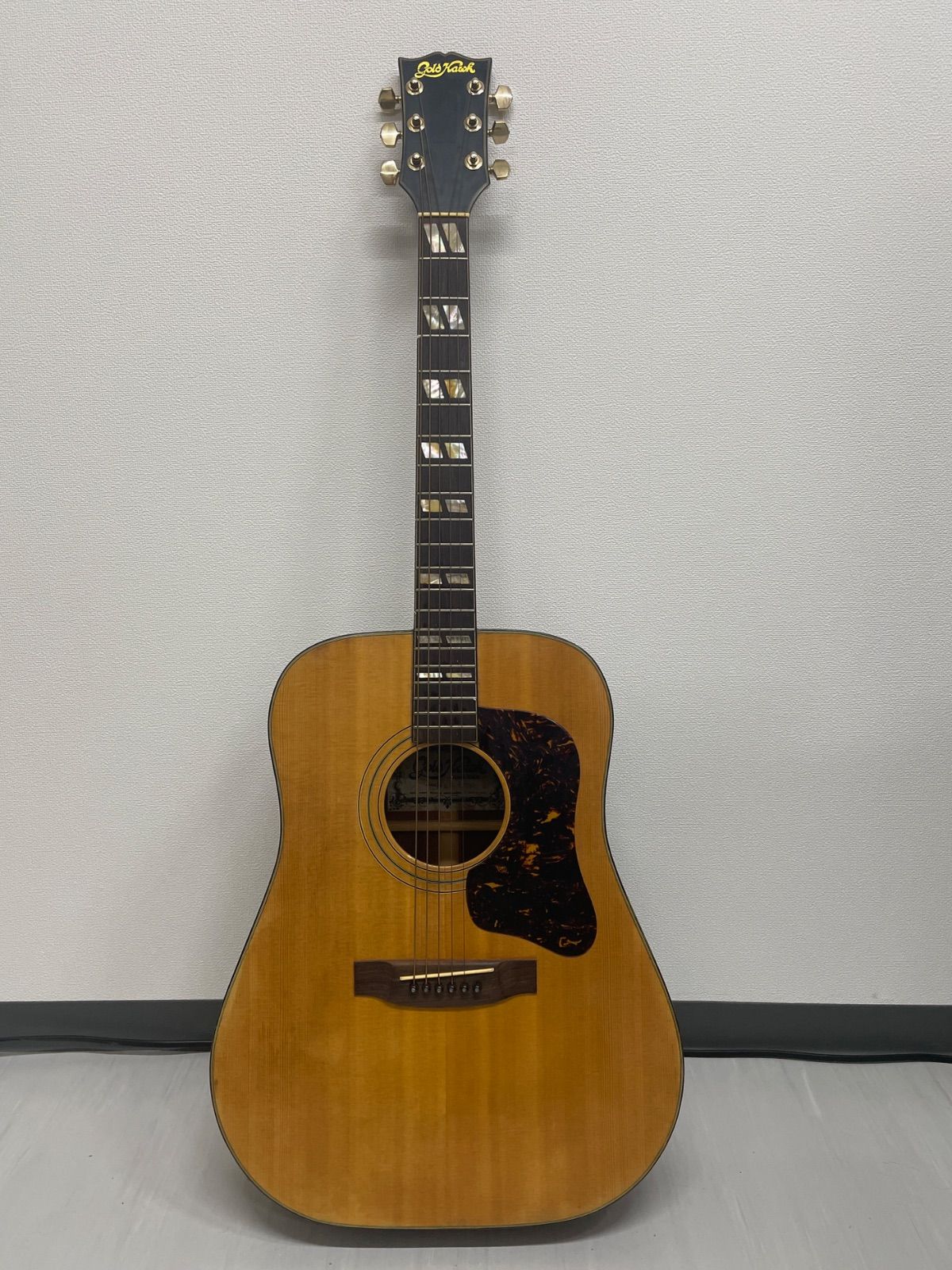 MORRIS モーリス Pa-60 エレアコギター Morris PA-60 アコースティック