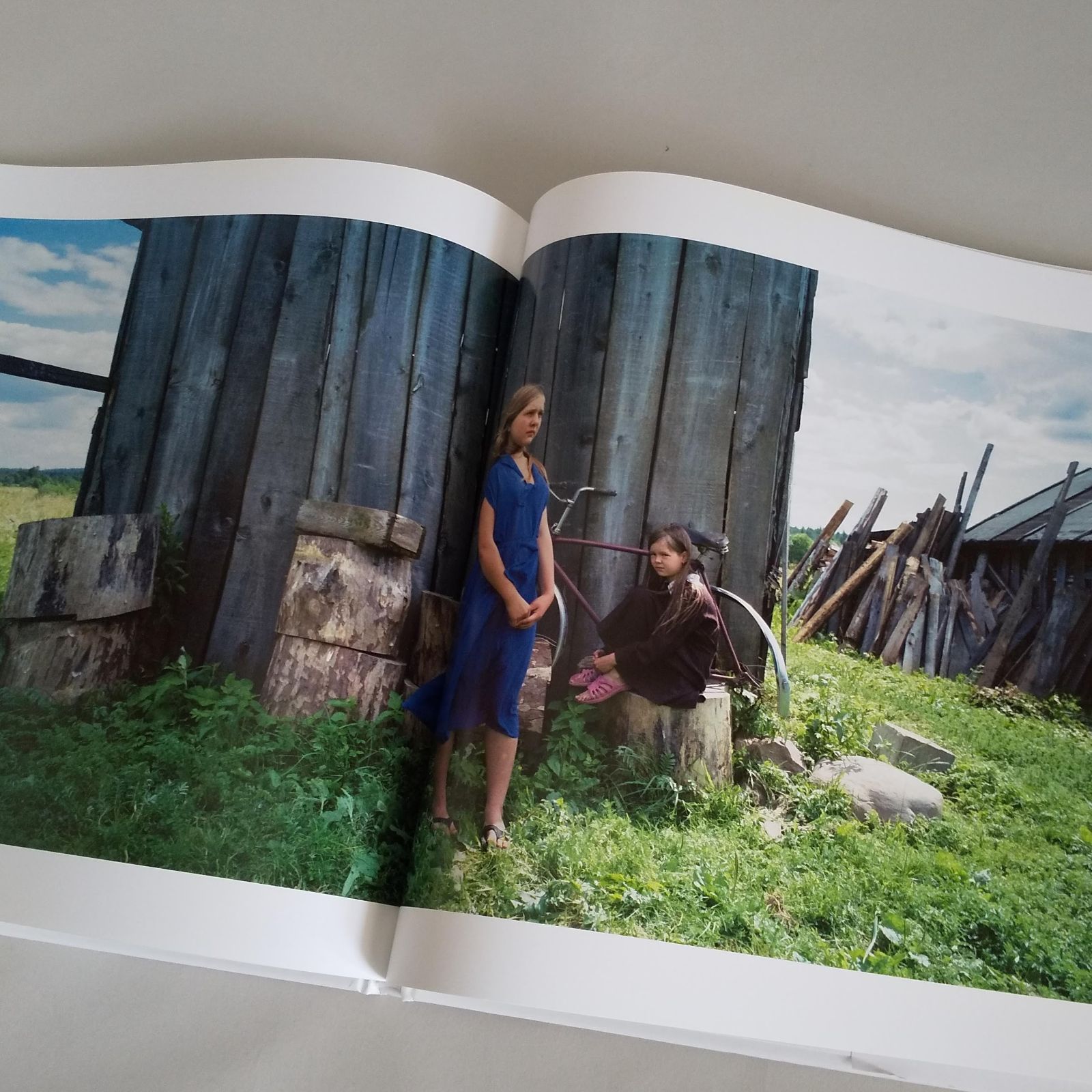 Hellen van Meene: Tout Va Disparaitre - メルカリ