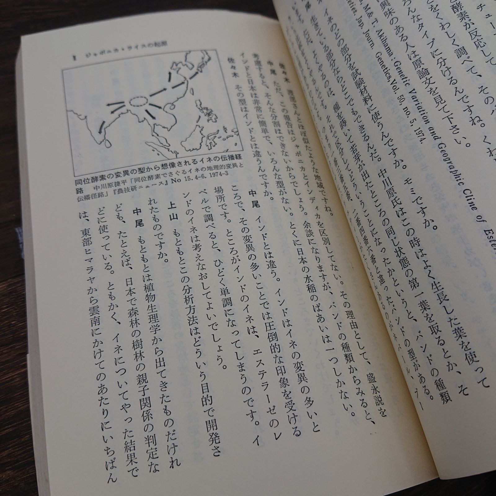 照葉樹林文化」「続・照葉樹林文化」2冊セット - メルカリ