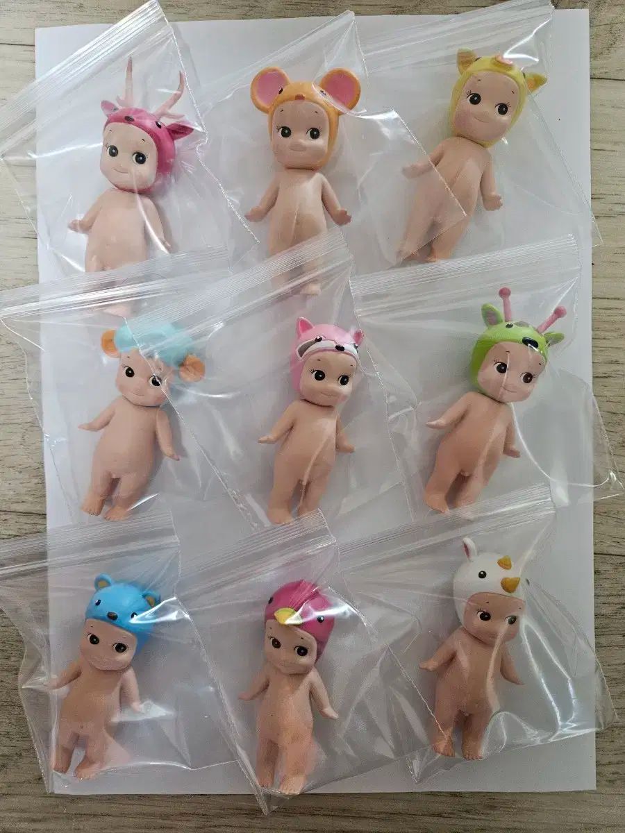SONNY ANGE リミテッド スペシャル 首輪 9 犬 まとめ売り 出品