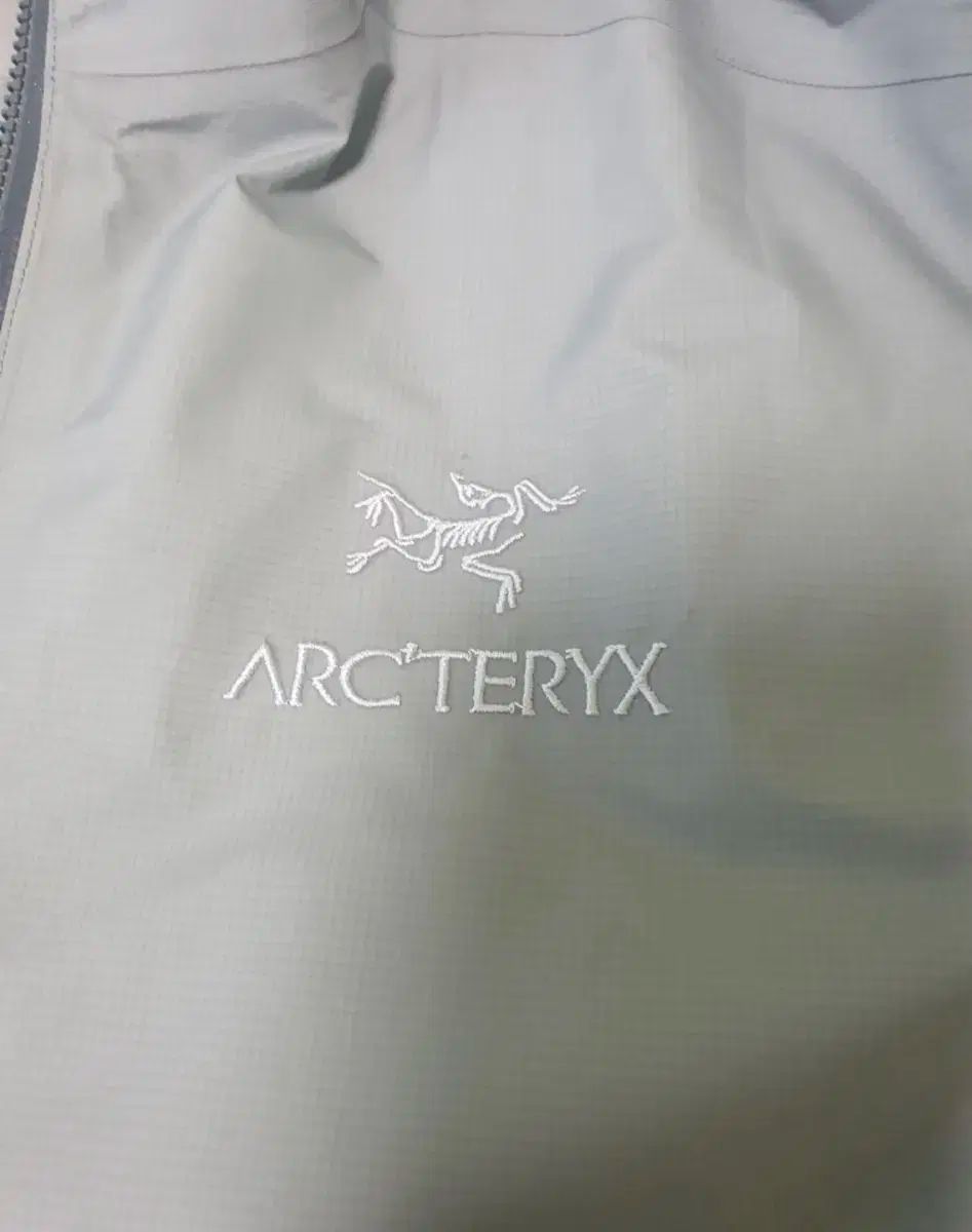 ARC TERYX アークテリクス ZETA FL ペギス数 M