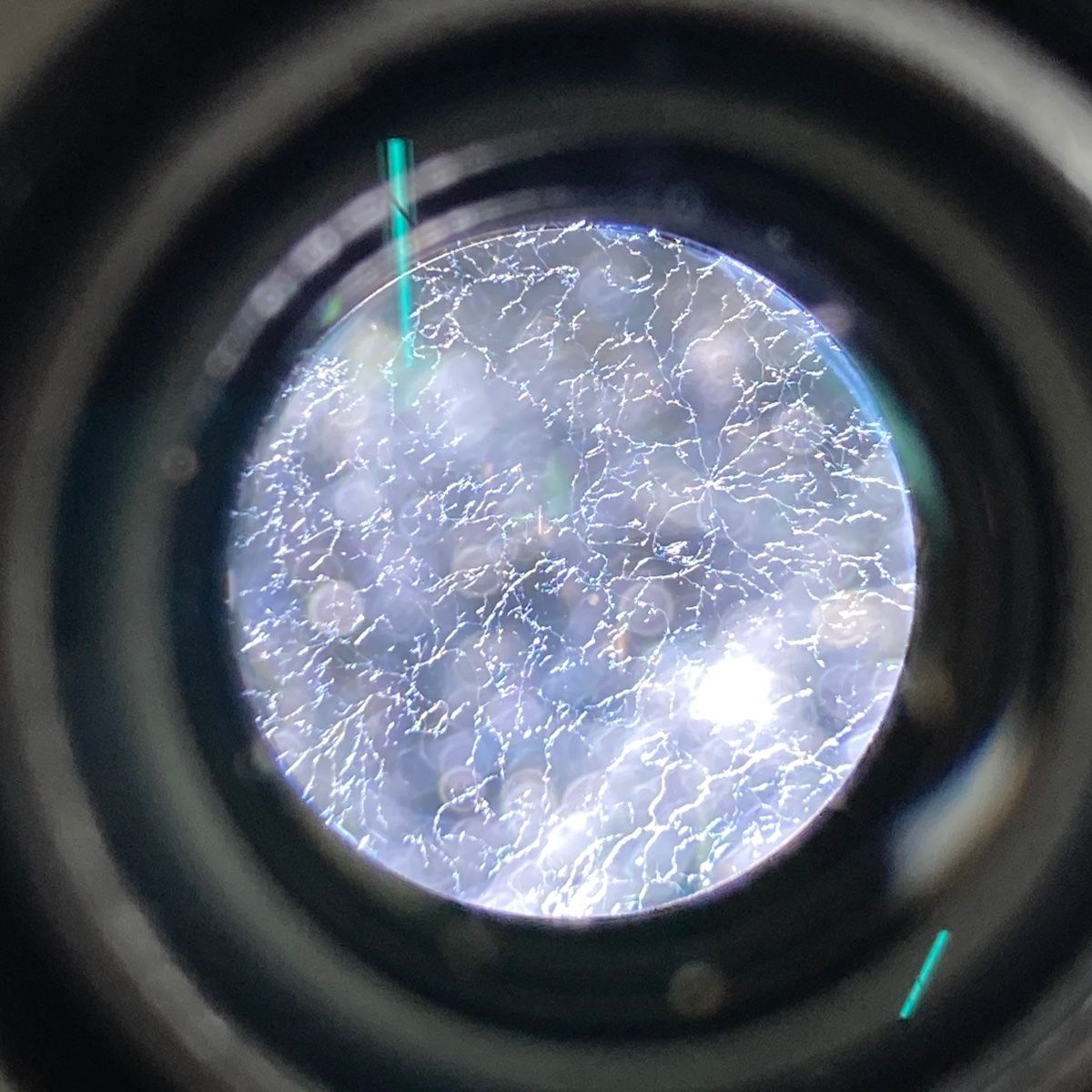 在庫一掃】 ペンタックス PENTAX HD DA 55-300mm F4-5.8ED WR 一眼