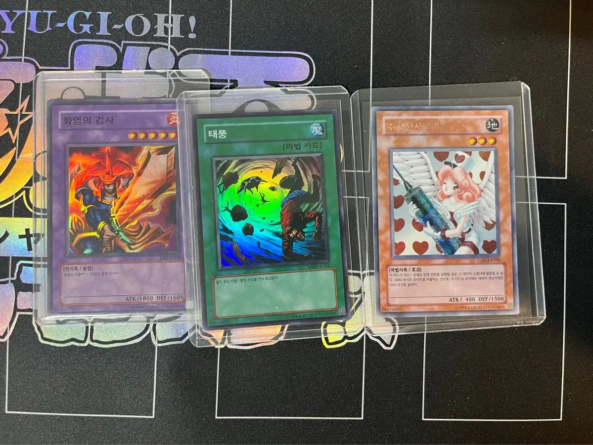 腸 ドアウォール