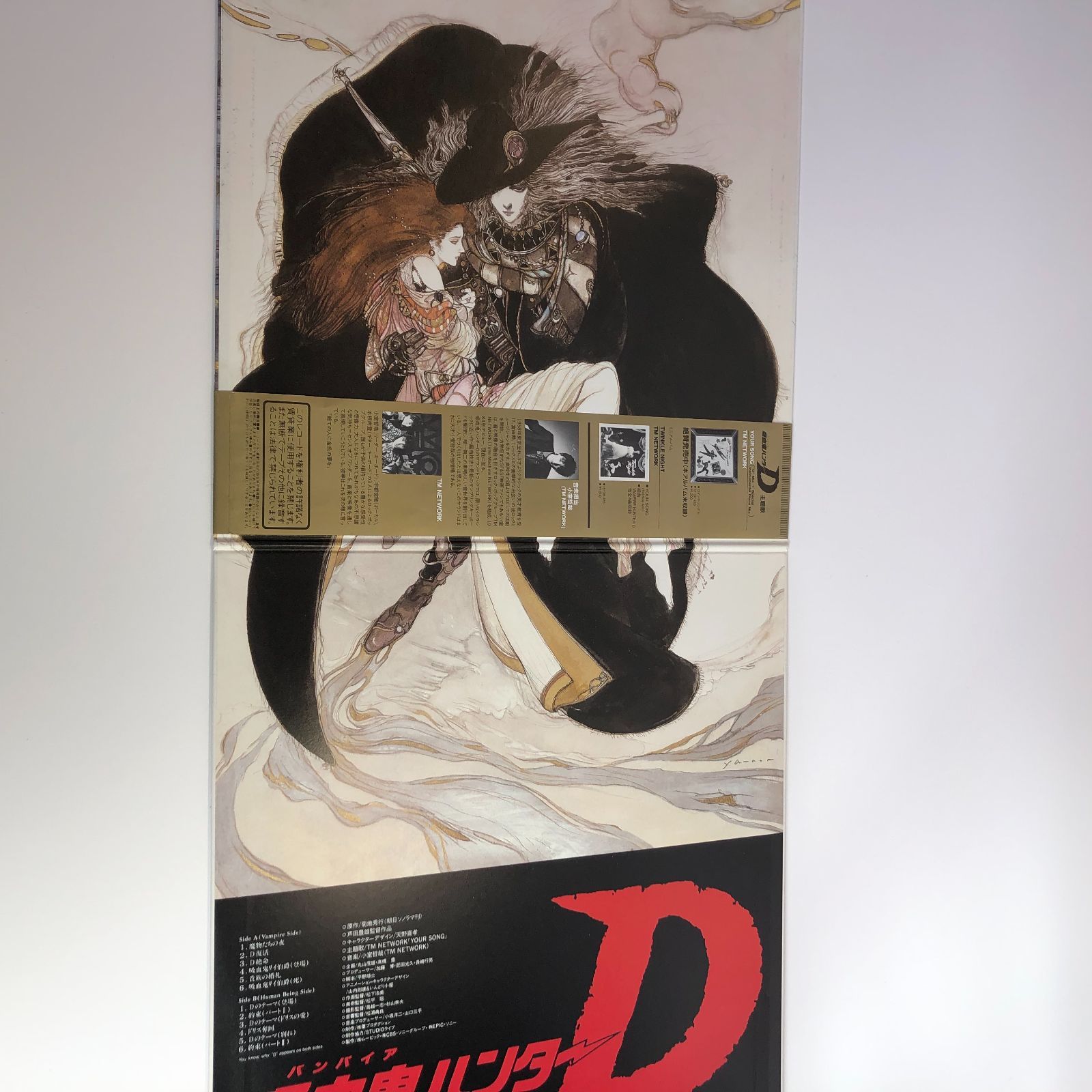 小室哲哉　吸血鬼ハンターD サウンドトラックレコード SOUNDTRACK (小室哲哉) / 吸血鬼ハンターD Vampire Hunter D [LP