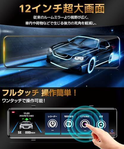 ミラー型 進化モデル