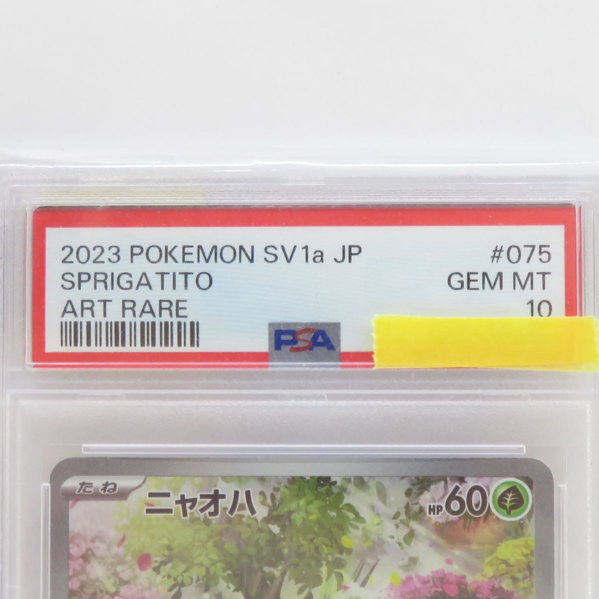 ポケモンカード　PSA10 AR 5枚セット　Pokemon TCG ポケモンカード AR 5枚セット - メルカリ