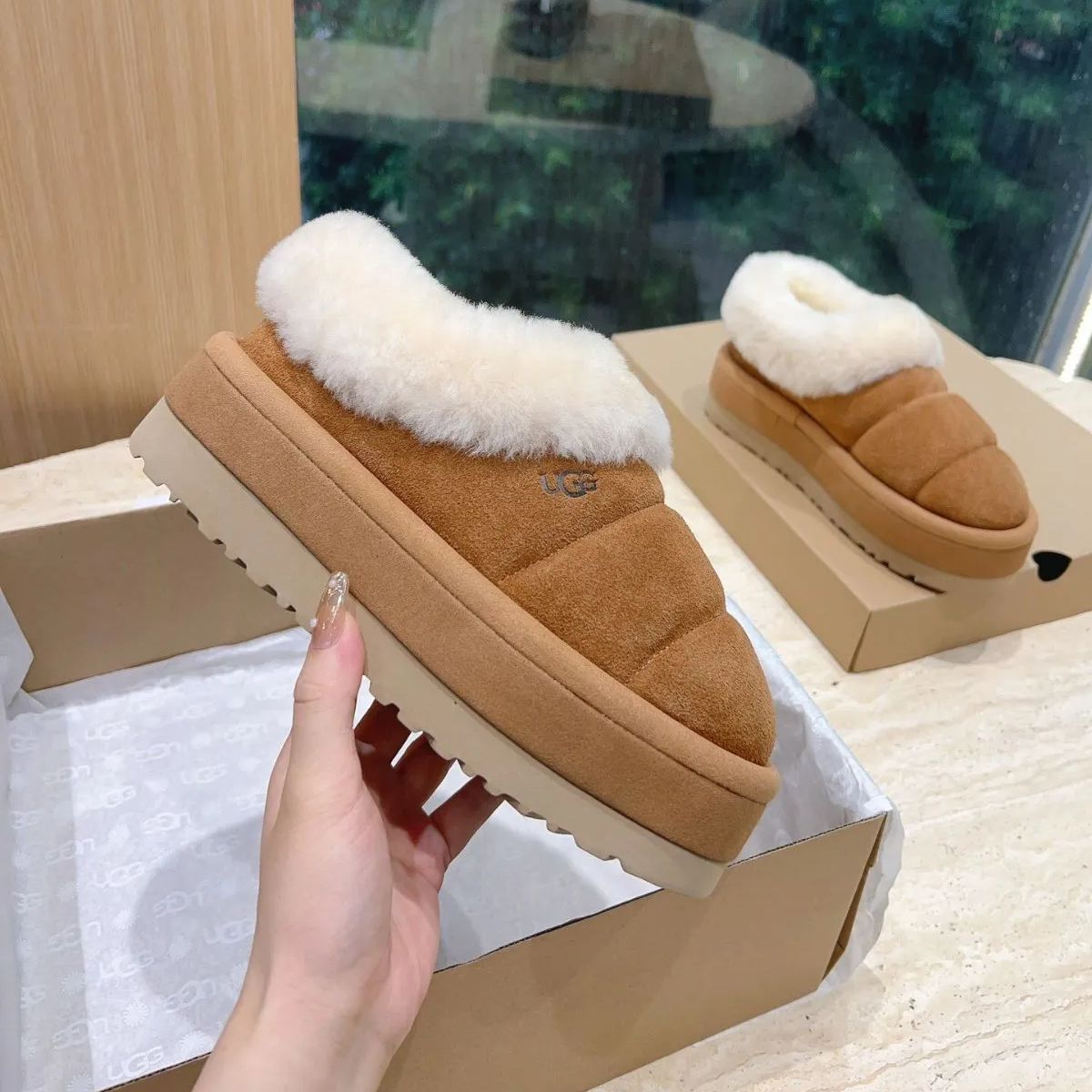 UGG Tazzlita アグ タズリータ鎌倉紅谷☆クルミッ子☆10箱