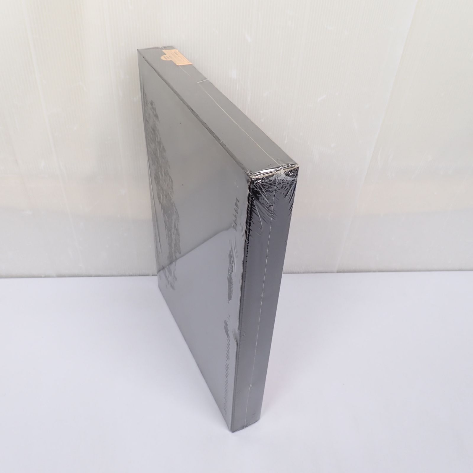 未開封 中島美嘉写真集 Love fills all. Mika Takashima ワニブックス