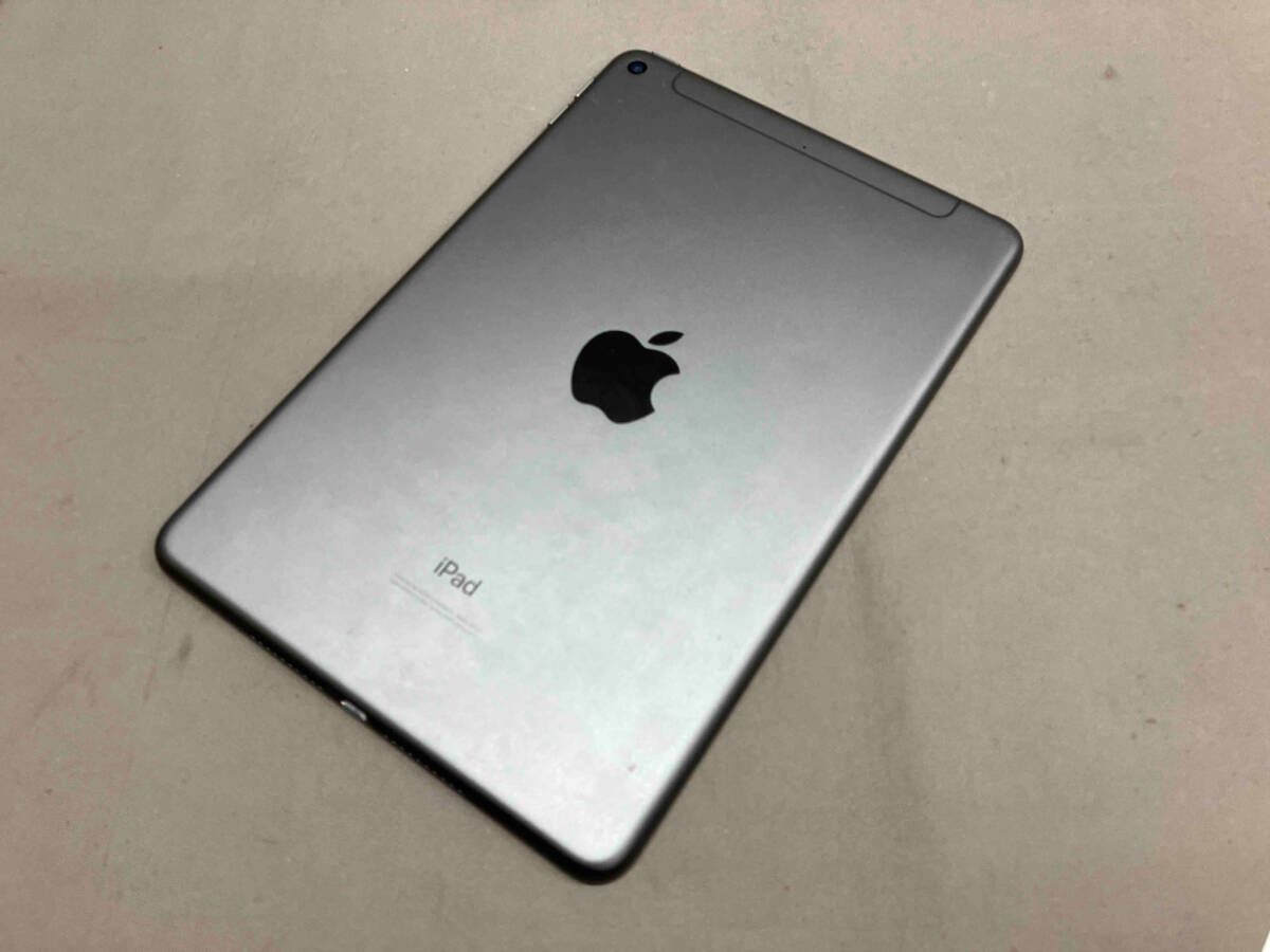 MUXC2J|A iPad mini Wi-Fi Cellular 256GB スペースグレイ SIMフリー