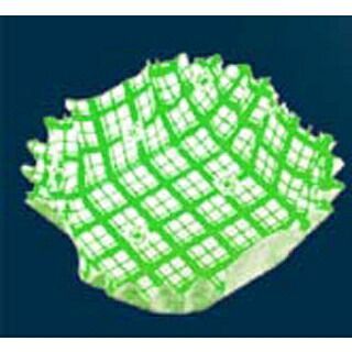 紙カップ ココケース 正角 500枚入 緑