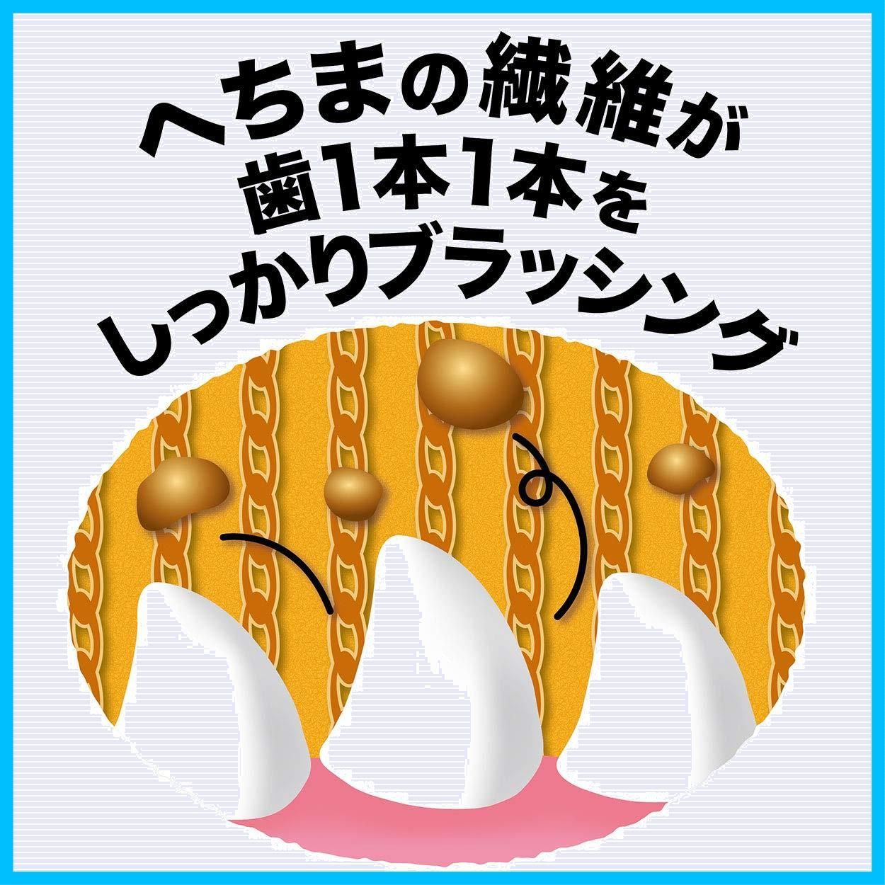 ひもじゃらし