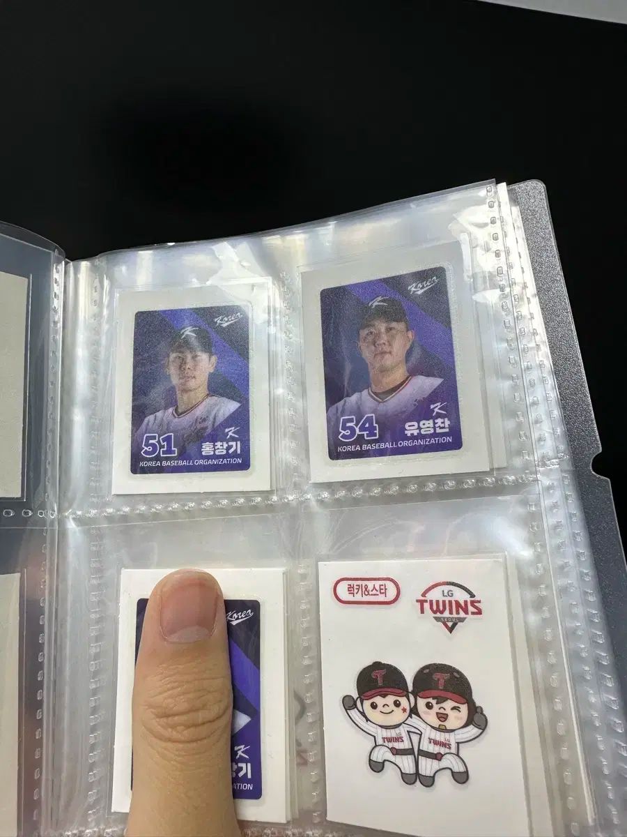kbo ベルトシール