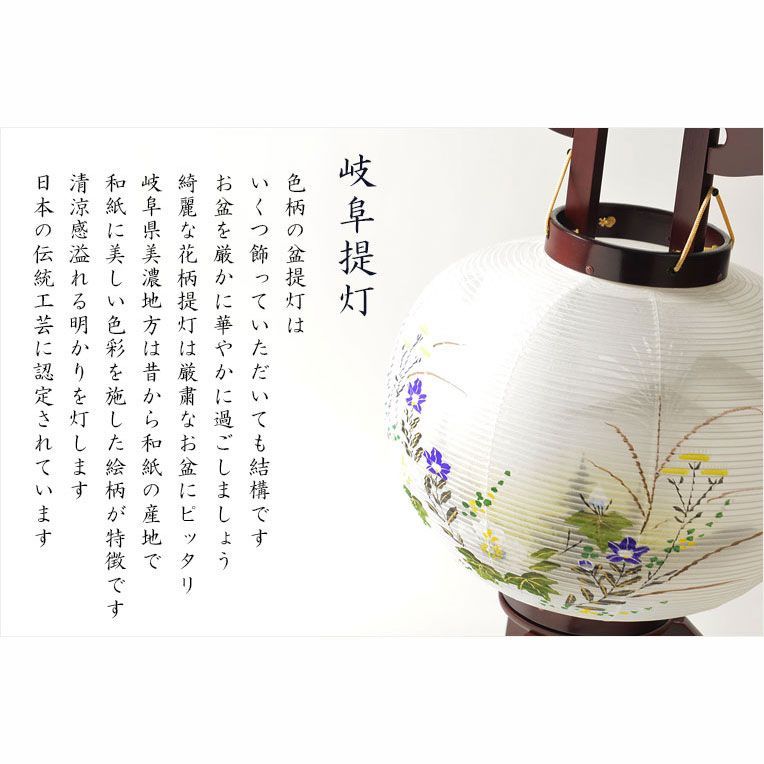 遠山に望む白芙蓉