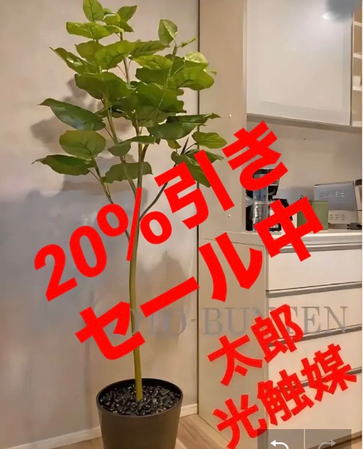 光触媒　人工観葉植物　ウォールグリーン　フェイクグリーン　ウンベラータ200@ 光触媒 人工観葉植物 ウォールグリーン フェイクグリーン ウンベラータ