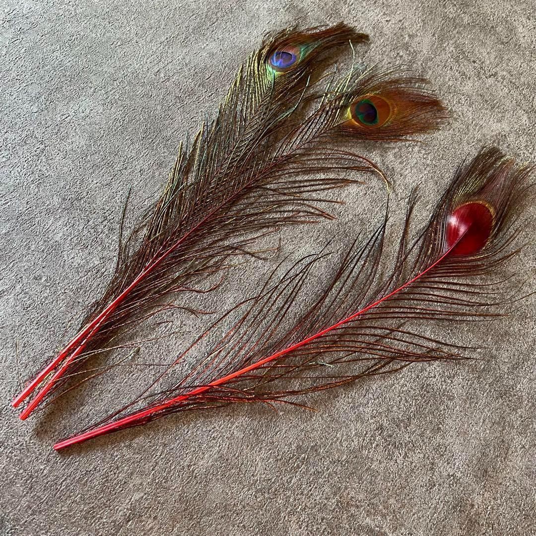 ❤️◾️⭐︎【孔雀 赤黄色セット】6枚 クジャク ピーコック 羽根 鳥の