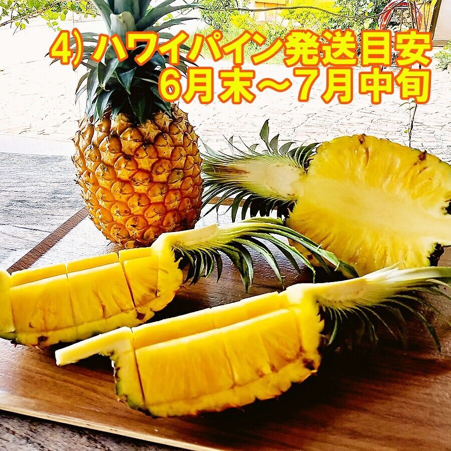 全4回発送