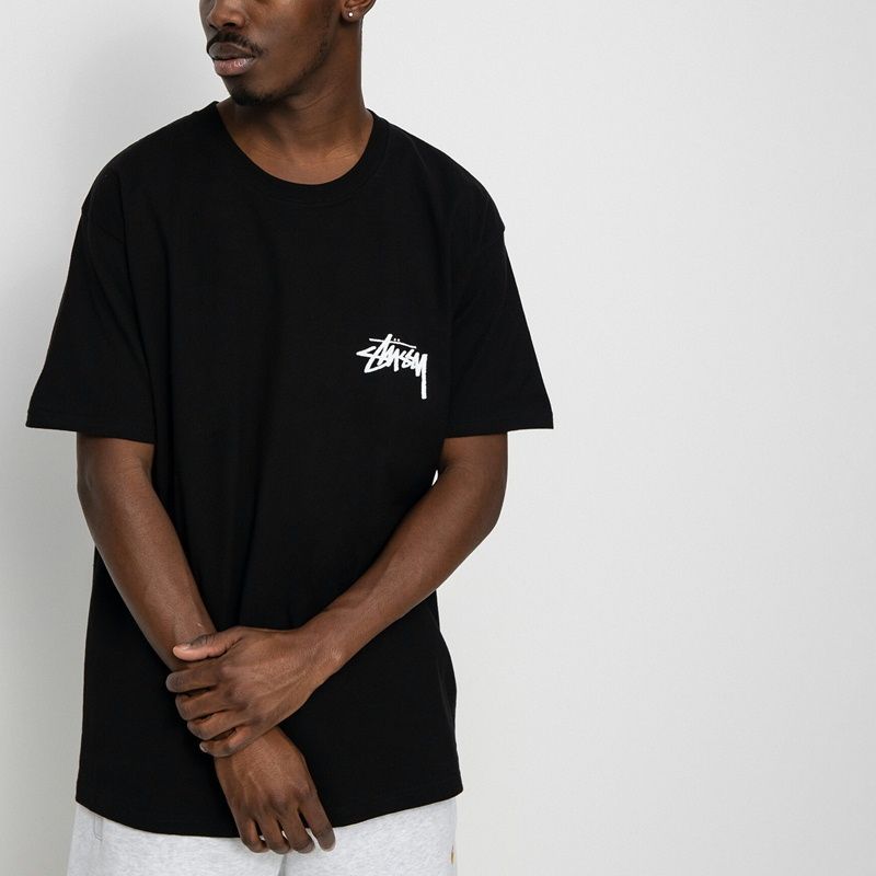 4100000010021 ☆正規品 ステューシー Stussy Tシャツ 半袖