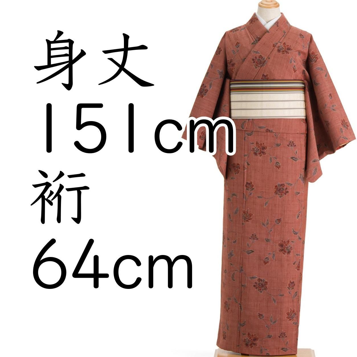 平和屋着物○上質な紬 変わり間道 正絹 逸品 DAAU5043ps