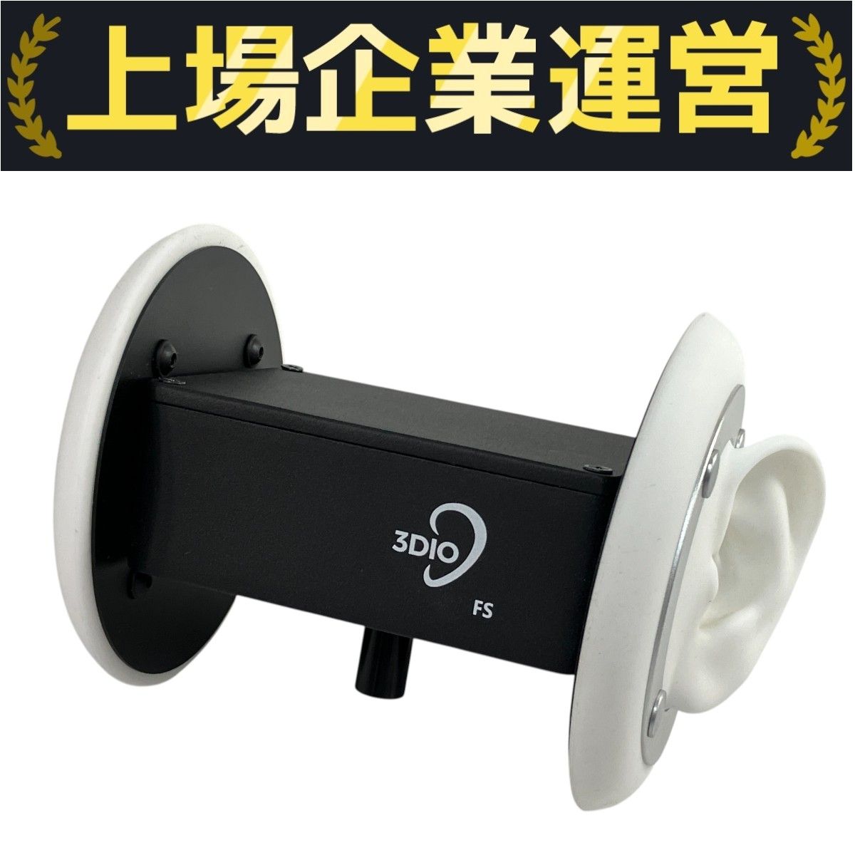3DIO FS Pro II コンデンサーマイク ケース付き 3Dio Free Space Pro II Binaural Microphone