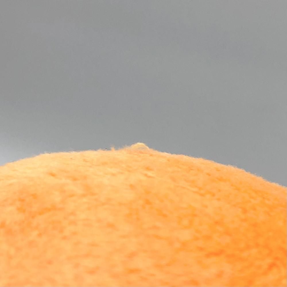 活動一周年記念