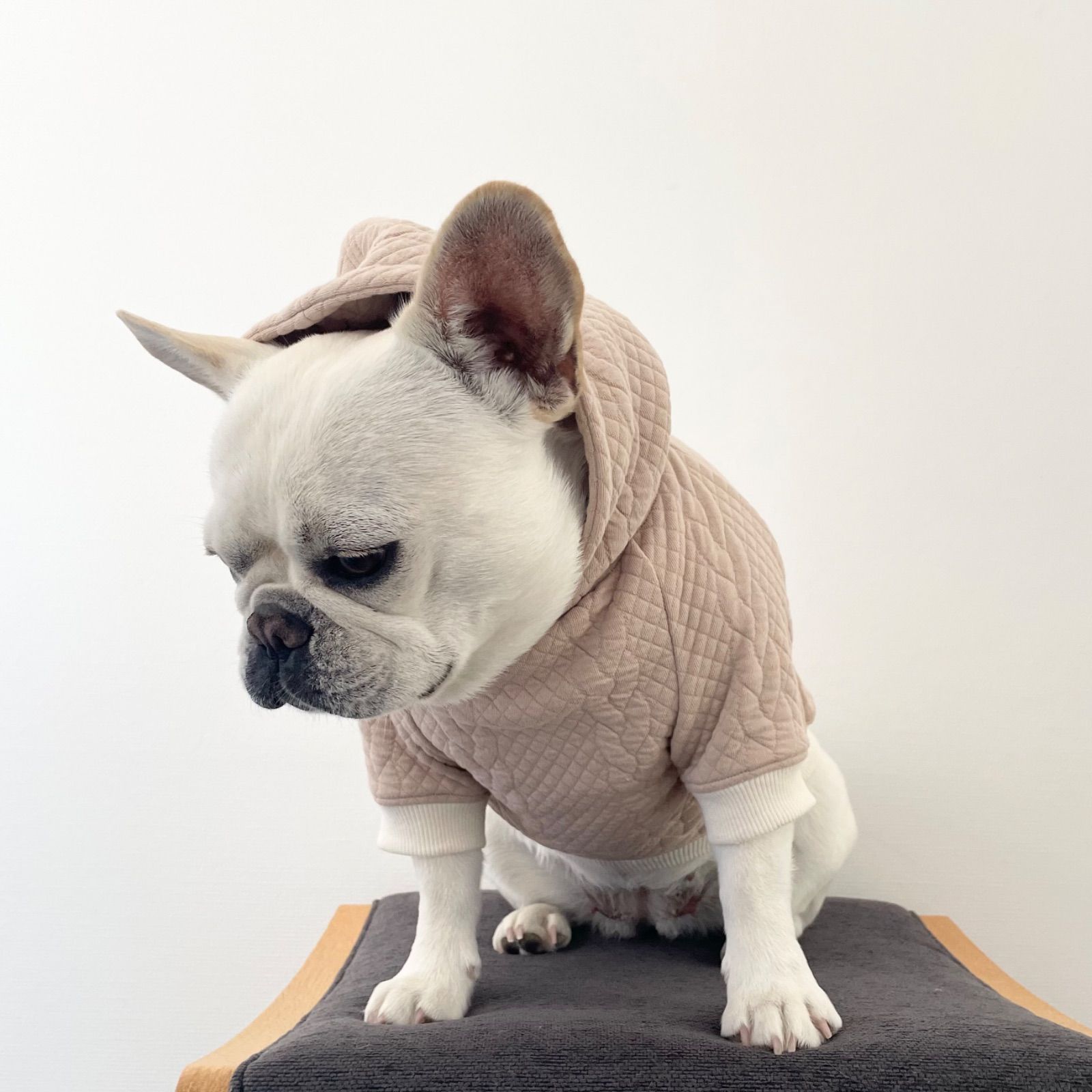 縄編み柄キルトパーカー《リネンベージュ》 / フレンチブルドッグ服 犬