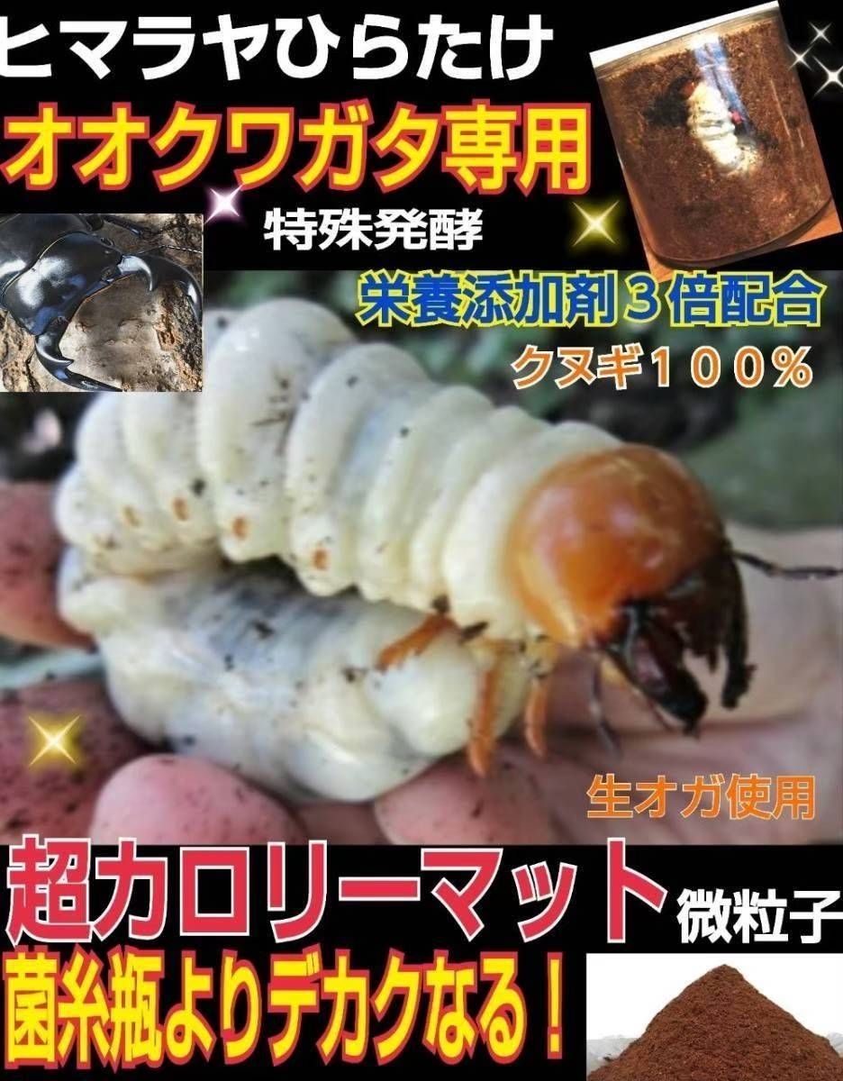 オオクワガタ専用　超高カロリーマット【50L】栄養添加剤3倍配合！生オガ特殊発酵 特選☆オオクワガタ専用超高カロリーマット☆アミノ酸3倍配合！生オガ